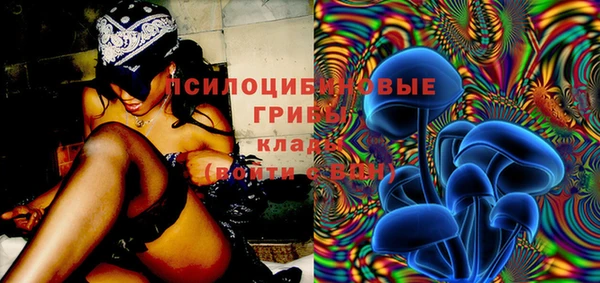 сатива Арсеньев
