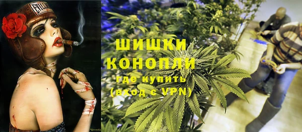 сатива Арсеньев